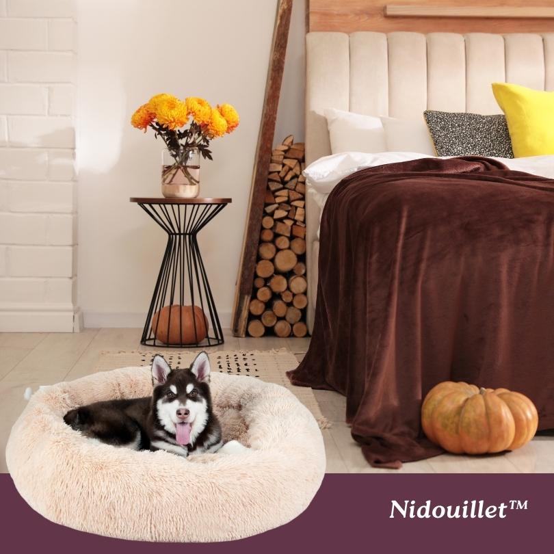 Coussin chien | Nidouillet™ - Je Promène Mon Chien