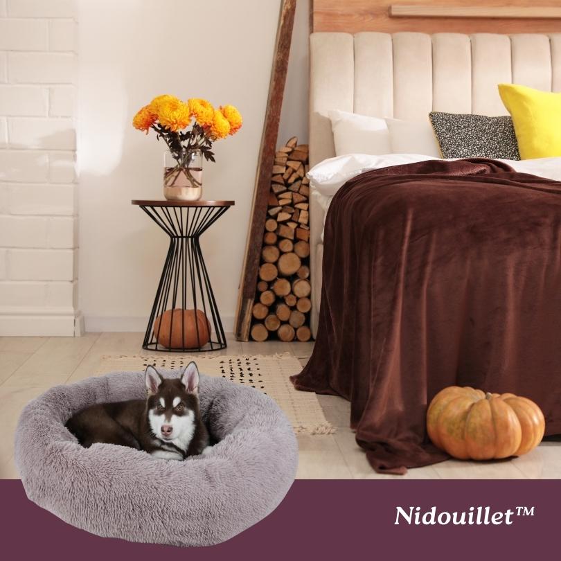 Coussin chien | Nidouillet™ - Je Promène Mon Chien