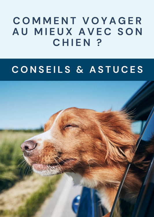 E-BOOK - Comment voyager au mieux avec son chien ?