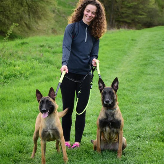 Double laisse pour chien