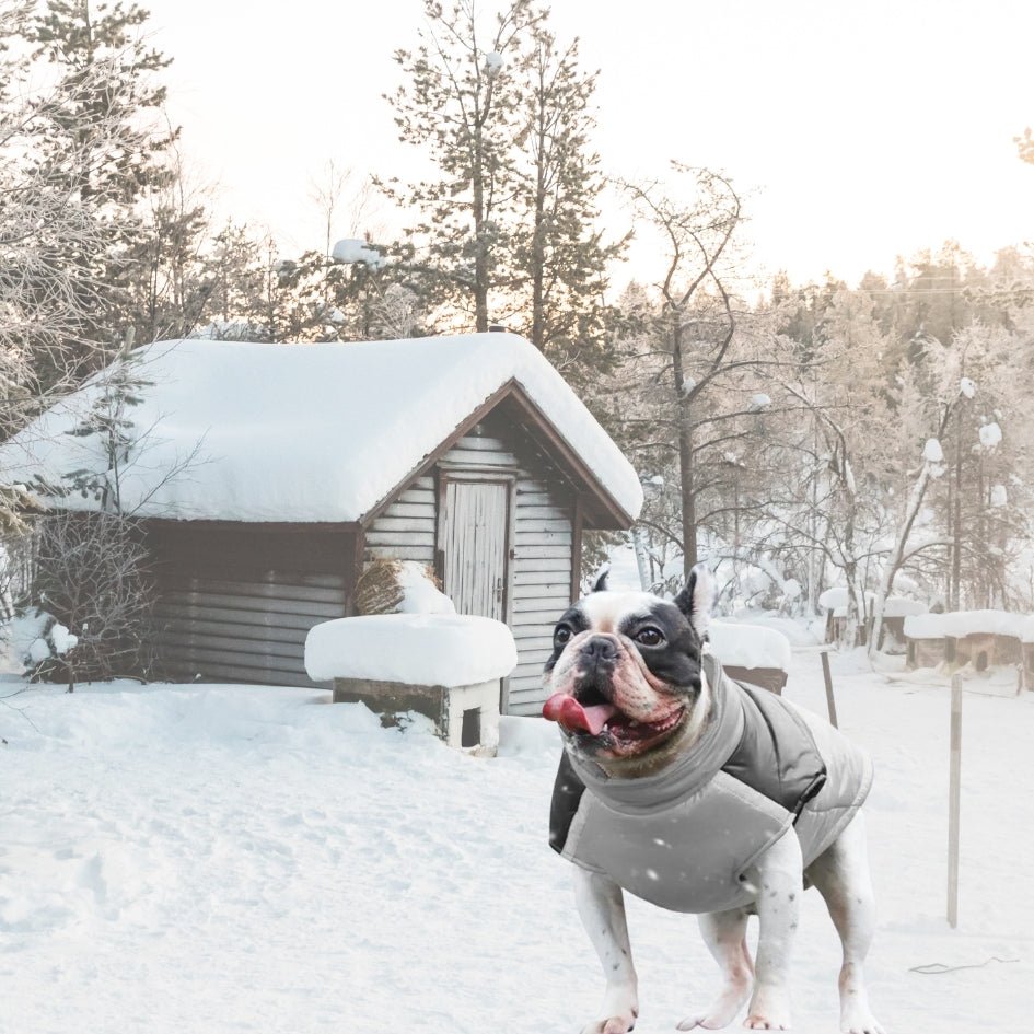 Doudoune chien | Mantelure™ grand chien - Je Promène Mon Chien