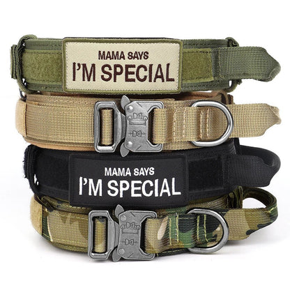 Etiquettes personalisées pour collier et harnais - Velcro - Je Promène Mon Chien