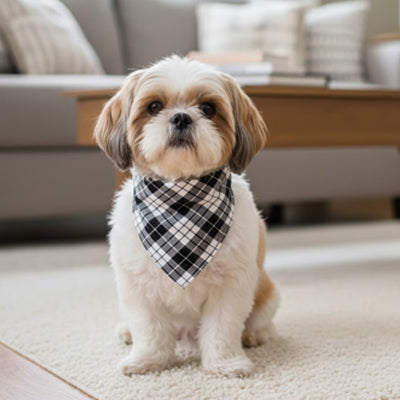 foulard chien à carreaux noir et blanc