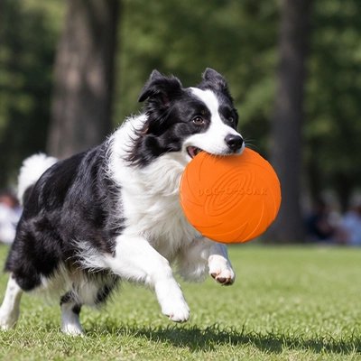 Frisbee chien orange jeu
