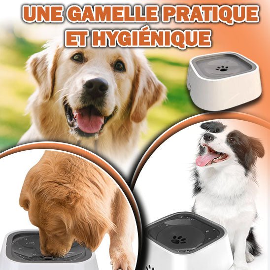 Gamelle à eau anti - débordement | Patossec™ - Je Promène Mon Chien