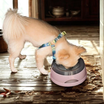 gamelle chien Canicar rose petit chien intérieur maison
