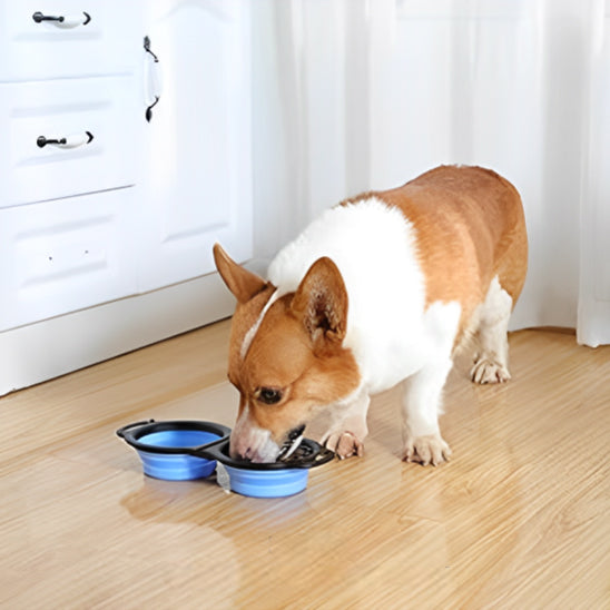 Gamelle chien | Anti-Glouton