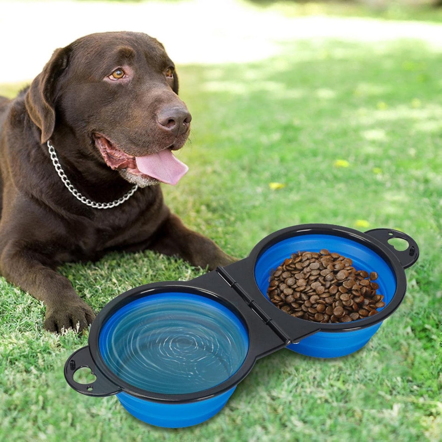 Gamelle chien | Anti-Glouton