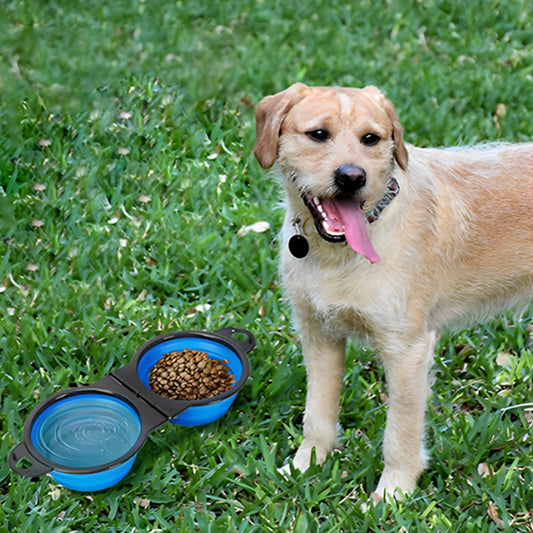 Gamelle chien | Anti-Glouton