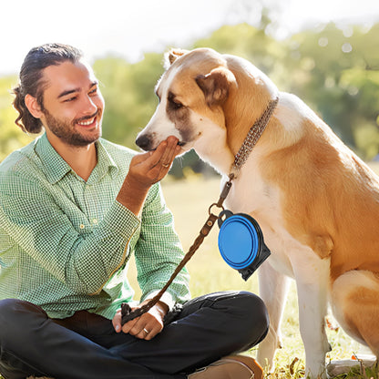 Gamelle chien | Anti-Glouton