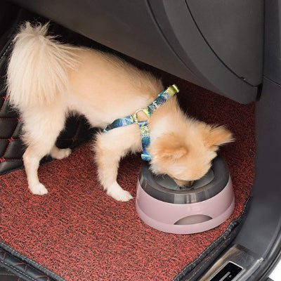 gamelle chien en voiture chien boit sans renverser d'eau