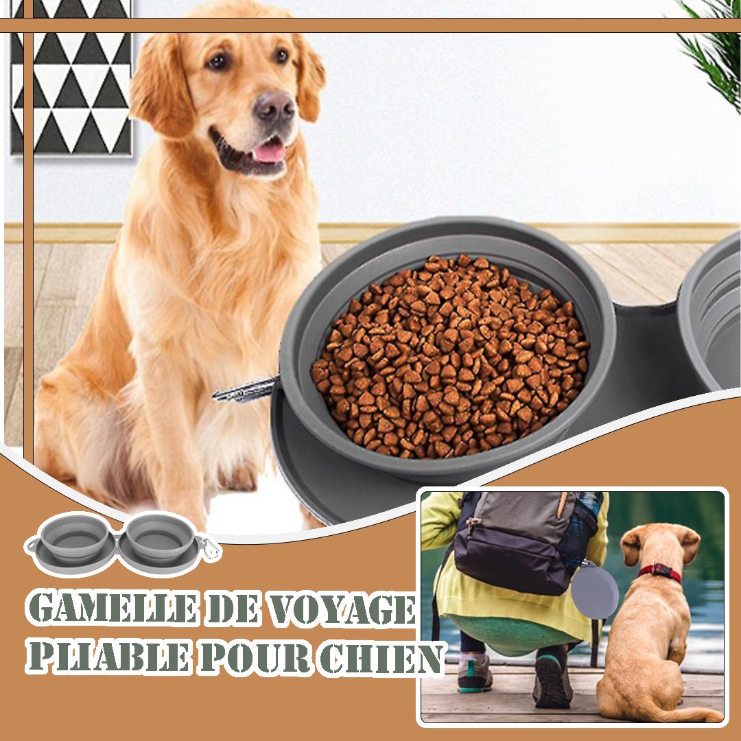 GAMELLE CHIEN - COMPACTE™ - Je Promène Mon Chien