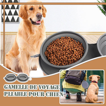 GAMELLE CHIEN - COMPACTE™ - Je Promène Mon Chien