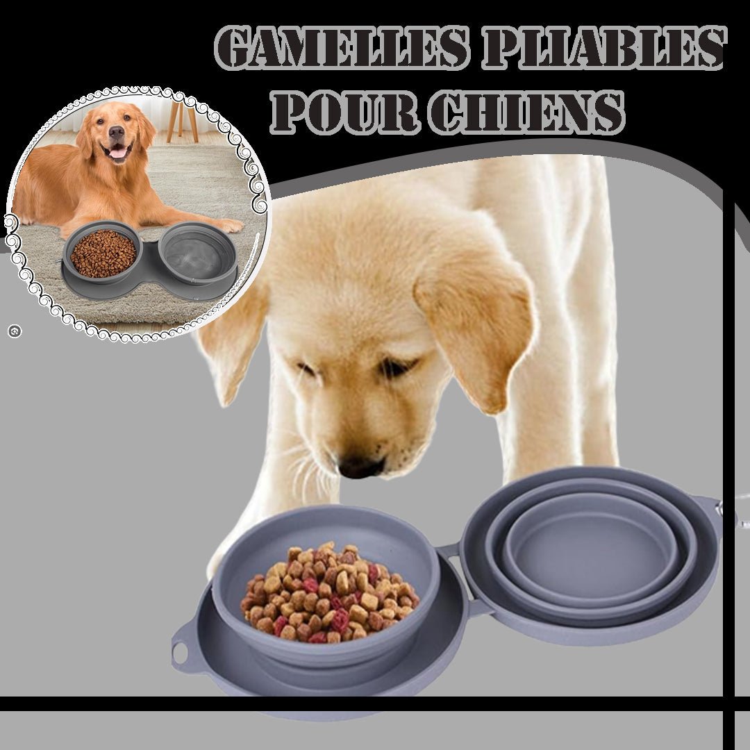 GAMELLE CHIEN - COMPACTE™ - Je Promène Mon Chien