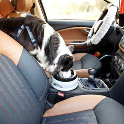 gamelle chien entre conducteur et passager chien boit sans renverser