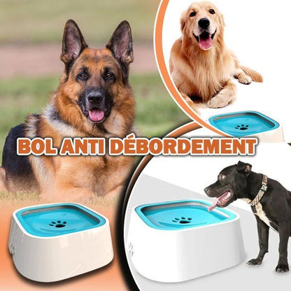 GAMELLE CHIEN - PATOSSEC™ - Je Promène Mon Chien