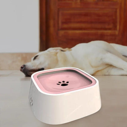 GAMELLE CHIEN - PATOSSEC™ - Je Promène Mon Chien