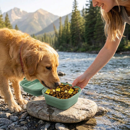 Gamelle chien | Picnic Premium