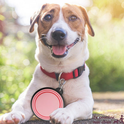 GAMELLE CHIEN - PLIABLE ET LEGERE TOUTOUBOL™ - Je Promène Mon Chien