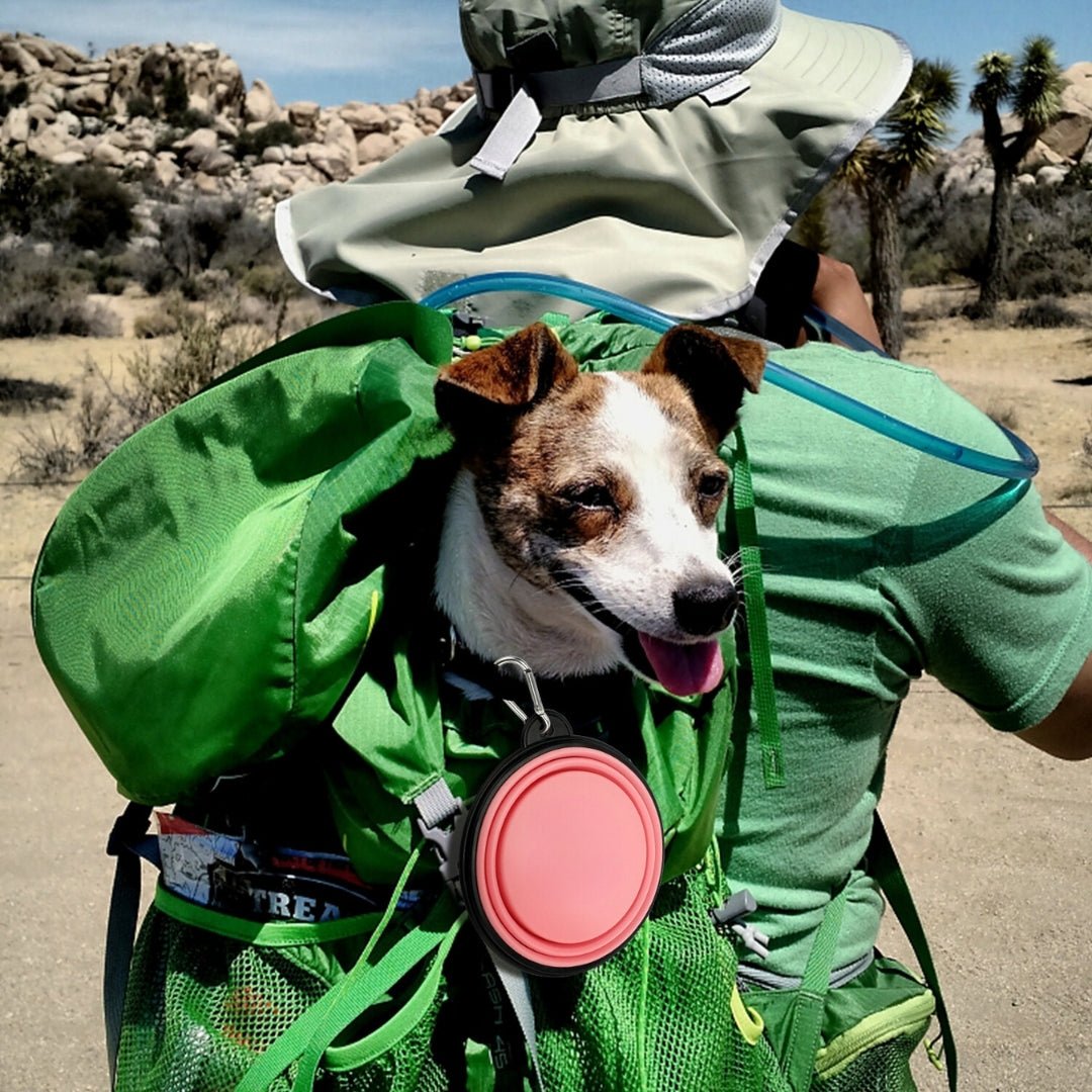 GAMELLE CHIEN - PLIABLE ET LEGERE TOUTOUBOL™ - Je Promène Mon Chien