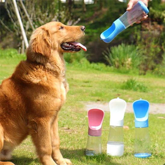 gourde chien plusieurs modèles