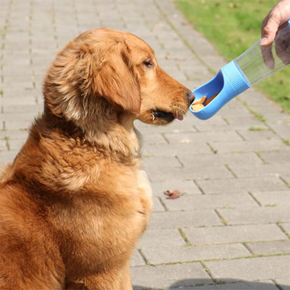 gourde chien bleue friandises