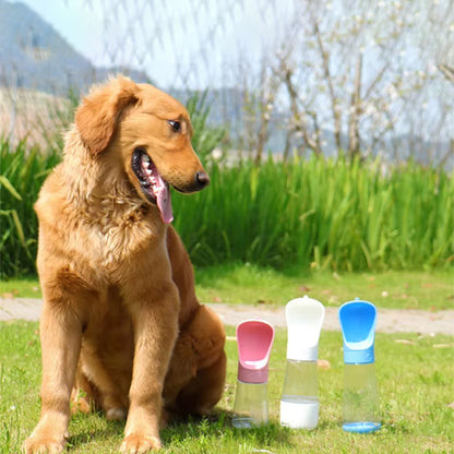 gourde chien 3 couleurs