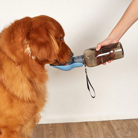 Gourde pour chien | Nomade™ 800ml