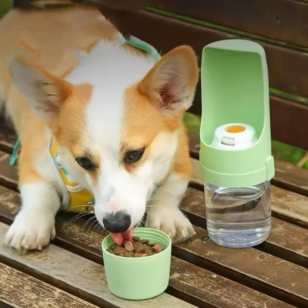 Gourde pour chien | Portable Étanche