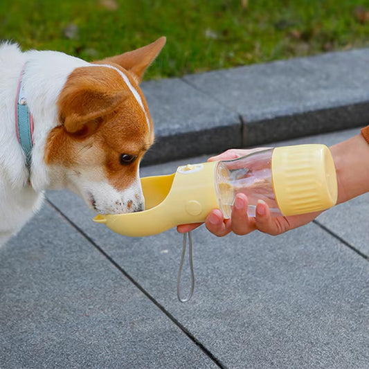 Gourde pour chien | Oreilles™