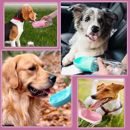 GOURDE POUR CHIEN | PLUSCOOL™ - Je Promène Mon Chien