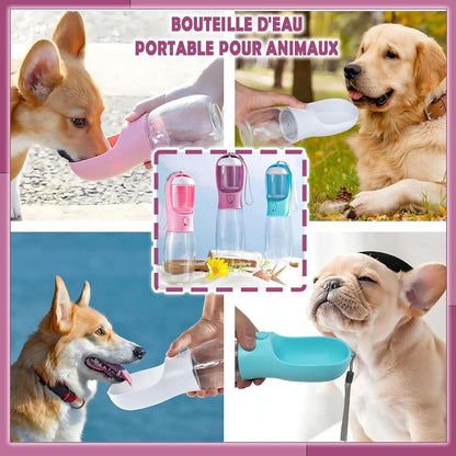 GOURDE POUR CHIEN | PLUSCOOL™ - Je Promène Mon Chien