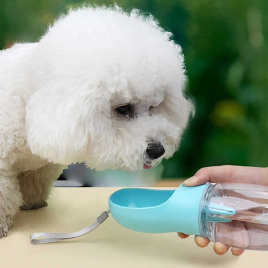 Gourde pour chien | Pluscool™