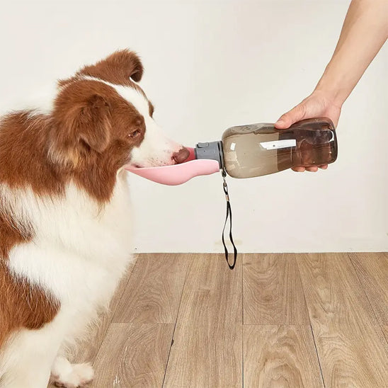 Gourde pour chien | Nomade™ 800ml