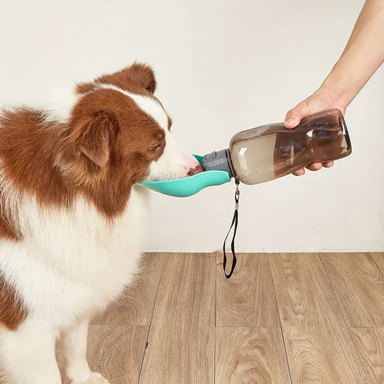 Gourde pour chien | Nomade™ 800ml
