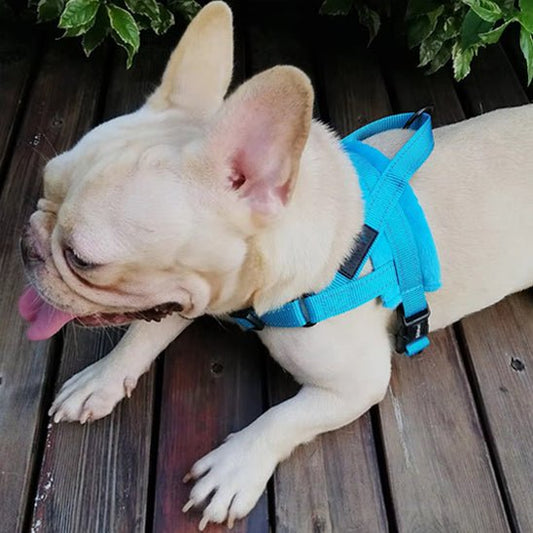 Harnais anti traction chien - Flanel™ - Je Promène Mon Chien