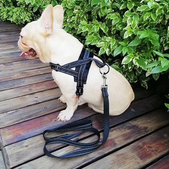 Harnais anti traction chien - Flanel™ - Je Promène Mon Chien