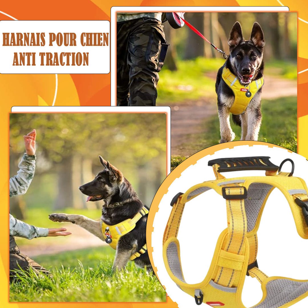 HARNAIS ANTI TRACTION CHIEN | VIXIEPROTEC™ - Je Promène Mon Chien