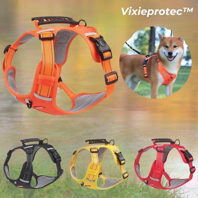 HARNAIS ANTI TRACTION CHIEN | VIXIEPROTEC™ - Je Promène Mon Chien