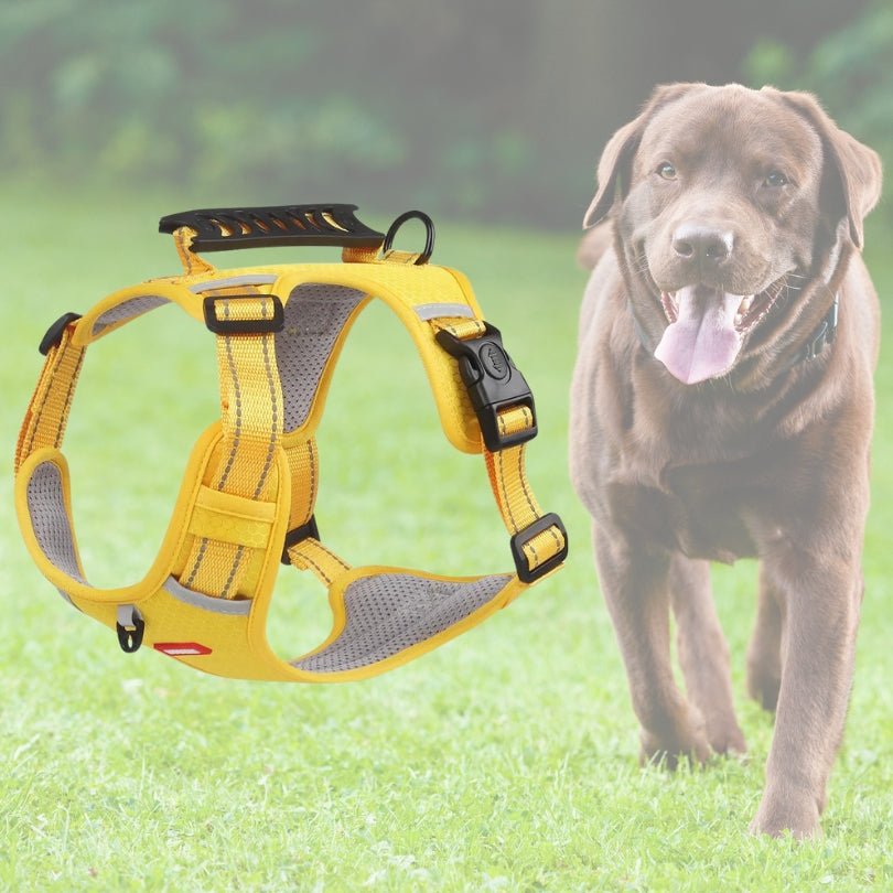 HARNAIS ANTI TRACTION CHIEN | VIXIEPROTEC™ - Je Promène Mon Chien