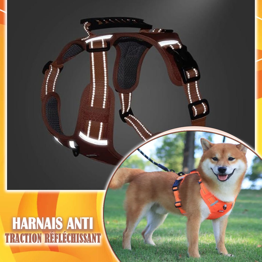 HARNAIS ANTI TRACTION CHIEN | VIXIEPROTEC™ - Je Promène Mon Chien