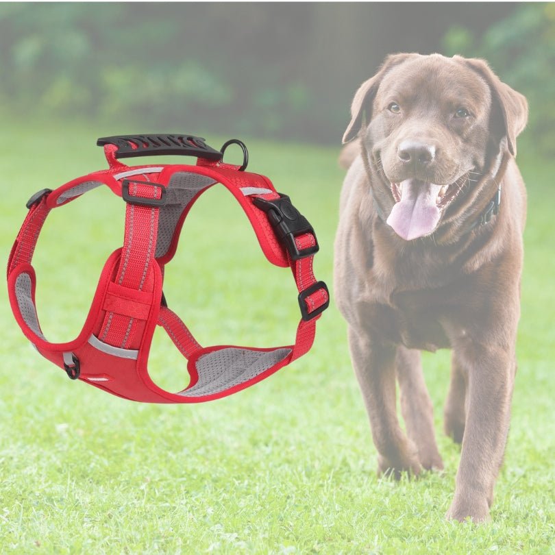 HARNAIS ANTI TRACTION CHIEN | VIXIEPROTEC™ - Je Promène Mon Chien