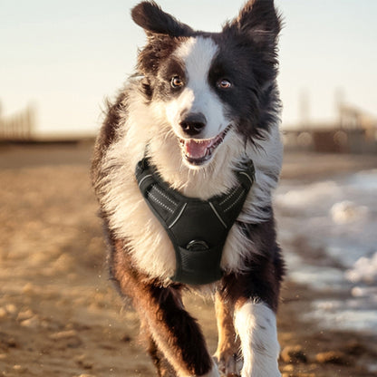 Harnais chien anti traction SafeWalk pour sa liberté