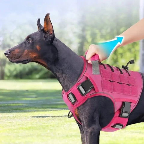harnais chien confort securise rose