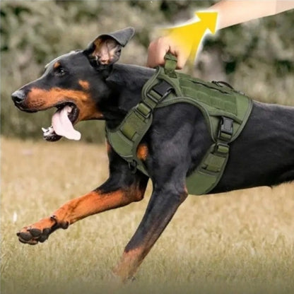 harnais chien confort securise poignee de retenue
