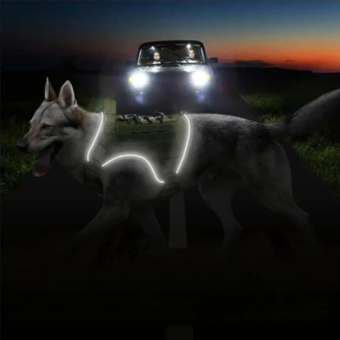 harnais chien confort reflechissant securise
