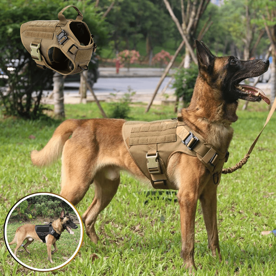 Harnais chien - Militpack™ - Je Promène Mon Chien