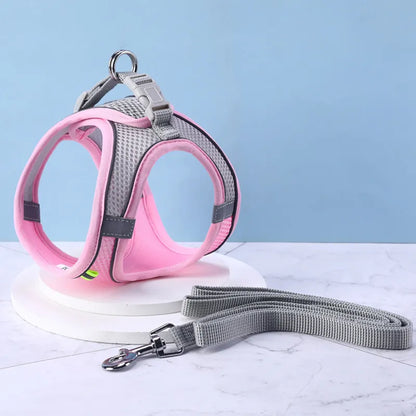 Harnais petit chien| Vivaflane™