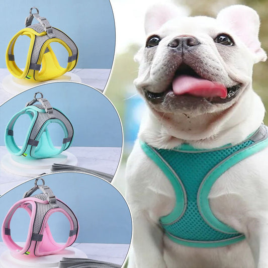 Harnais petit chien | Vivaflane™ - Je Promène Mon Chien