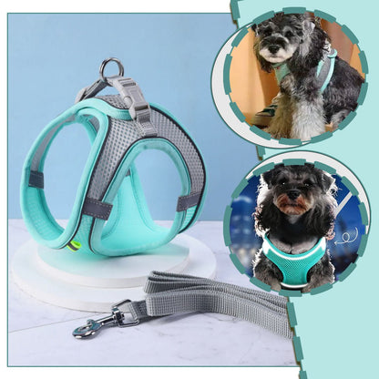 Harnais petit chien | Vivaflane™ - Je Promène Mon Chien